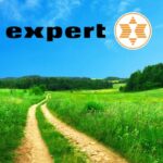 expert