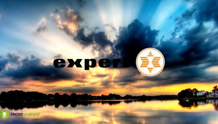 expert