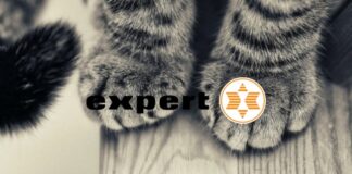 expert