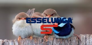 esselunga