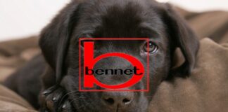 bennet