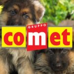 comet