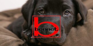 bennet