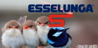 esselunga