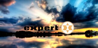 expert