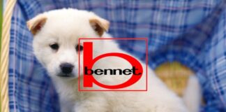 bennet