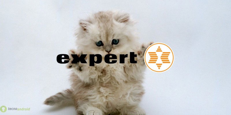 expert