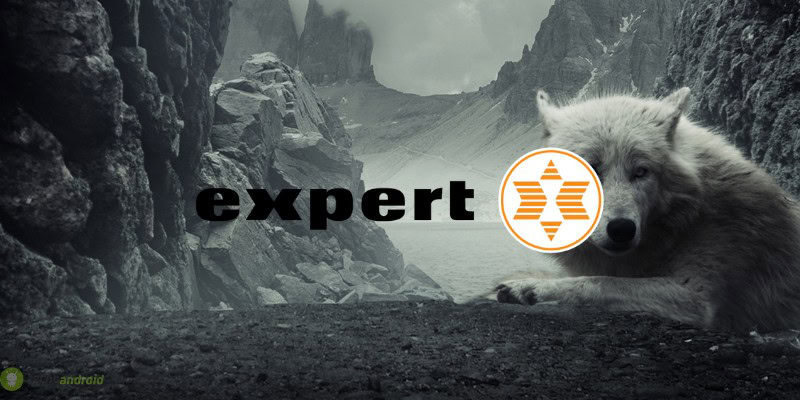 expert