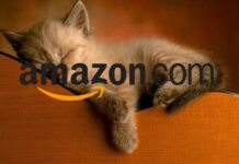 amazon