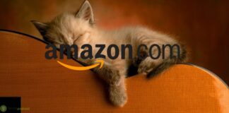 amazon