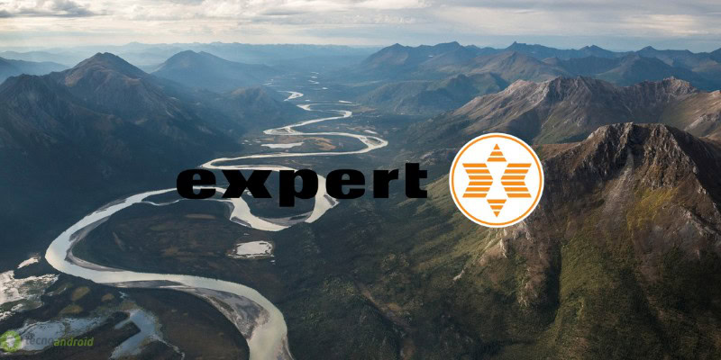 expert