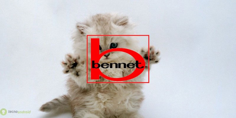 bennet