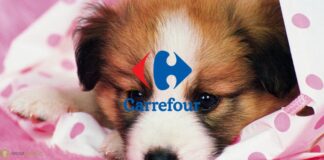 carrefour