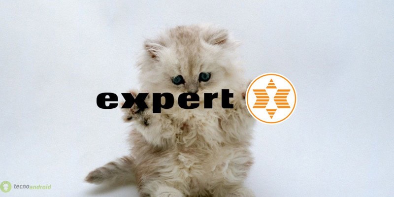 expert