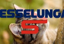 esselunga