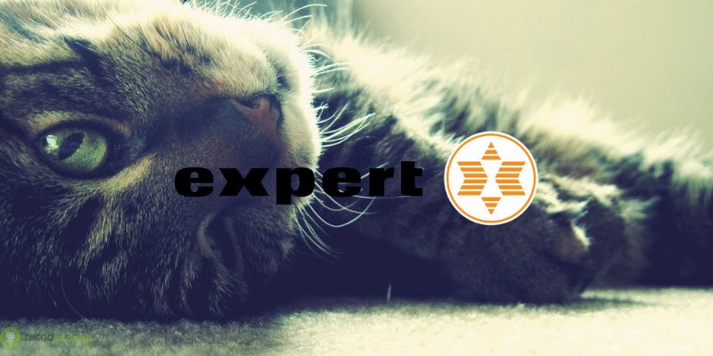 expert