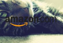 amazon