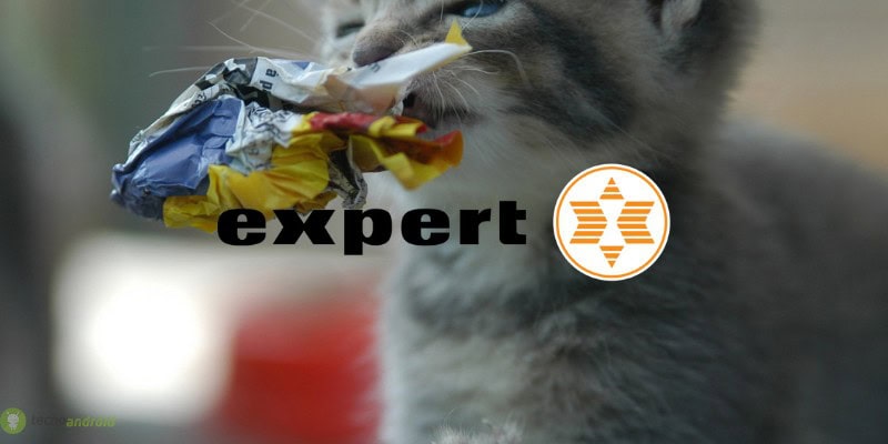 expert