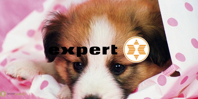 expert