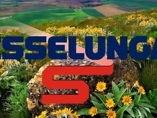 esselunga