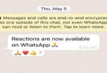 whatsapp-impegna-suoi-utenti-arrivano-reazioni-android-ios