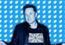 elon-musk-accusa-twitter-inganno-ecco-novita