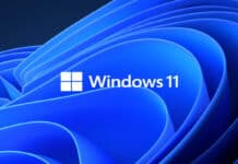 windows-11-app-android-ringraziano-ultimo-aggiornamento