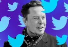 twitter-stata-vittima-campagna-odio-dopo-acquisizione-elon-musk