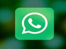 whatsapp-lavora-su-diverse-funzionalita-stato-vocale-scheda-chiamate