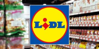 Lidl è assurda, splendide offerte oggi con prezzi quasi gratis