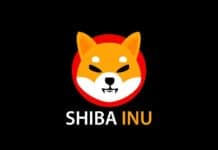 Shiba Inu, criptovaluta