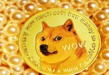 Le previsioni sui Dogecoin