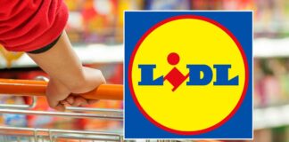 Lidl è ASSURDA, in regalo la TECNOLOGIA e offerte al 50% solo oggi