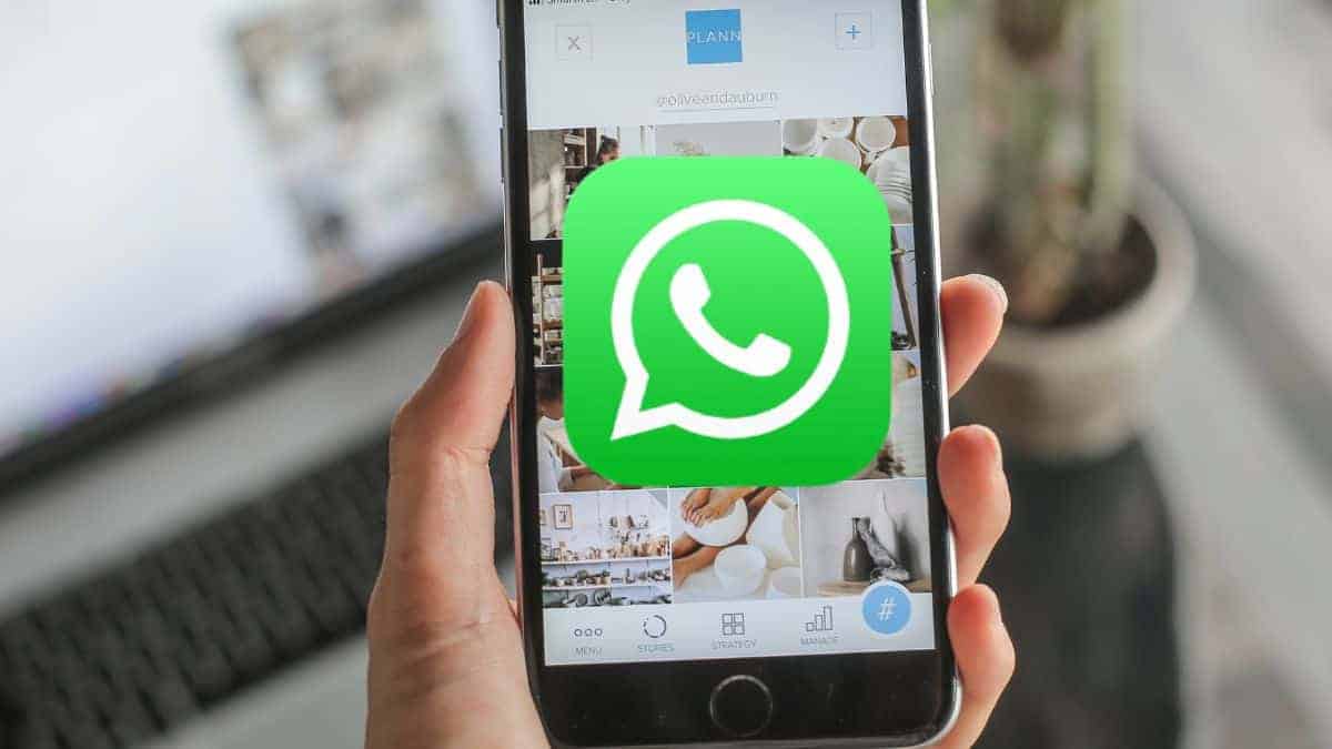 WhatsApp, questo è l'aggiornamento che stavate aspettando