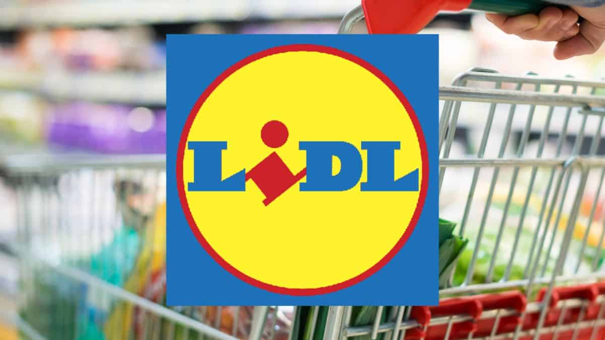 Lidl SORPRENDE ancora con un REGALO inedito: la tecnologia costa solo 5€