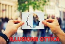 Illusione ottica, SOLO 15 secondi per trovare il bruco nell'immagine