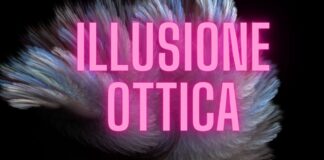 Illusione Ottica, chi troverà l'uomo in questa foto è un genio