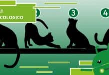 Test psicologico, scegli un gatto e ti dirà a cosa ambisci nella vita