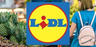 Lidl senza freni, oggi REGALA prodotti al 90% di sconto