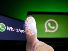 WhatsApp, trucco per spiare GRATIS gli utenti ogni giorno