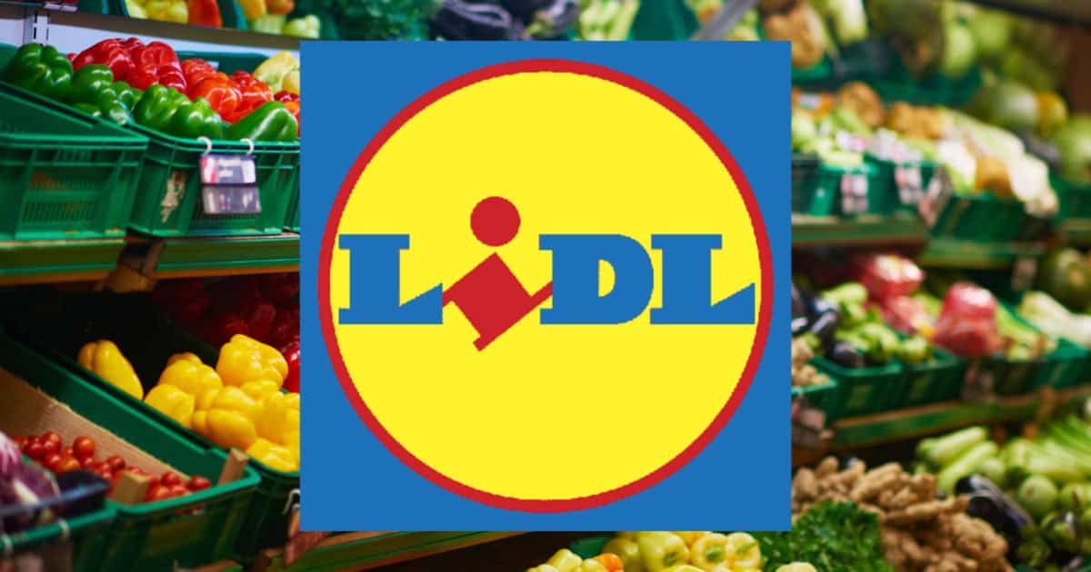 Lidl sconta la tecnologia, costa meno di 5€ ed è quasi GRATIS