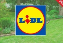 Lidl offerta