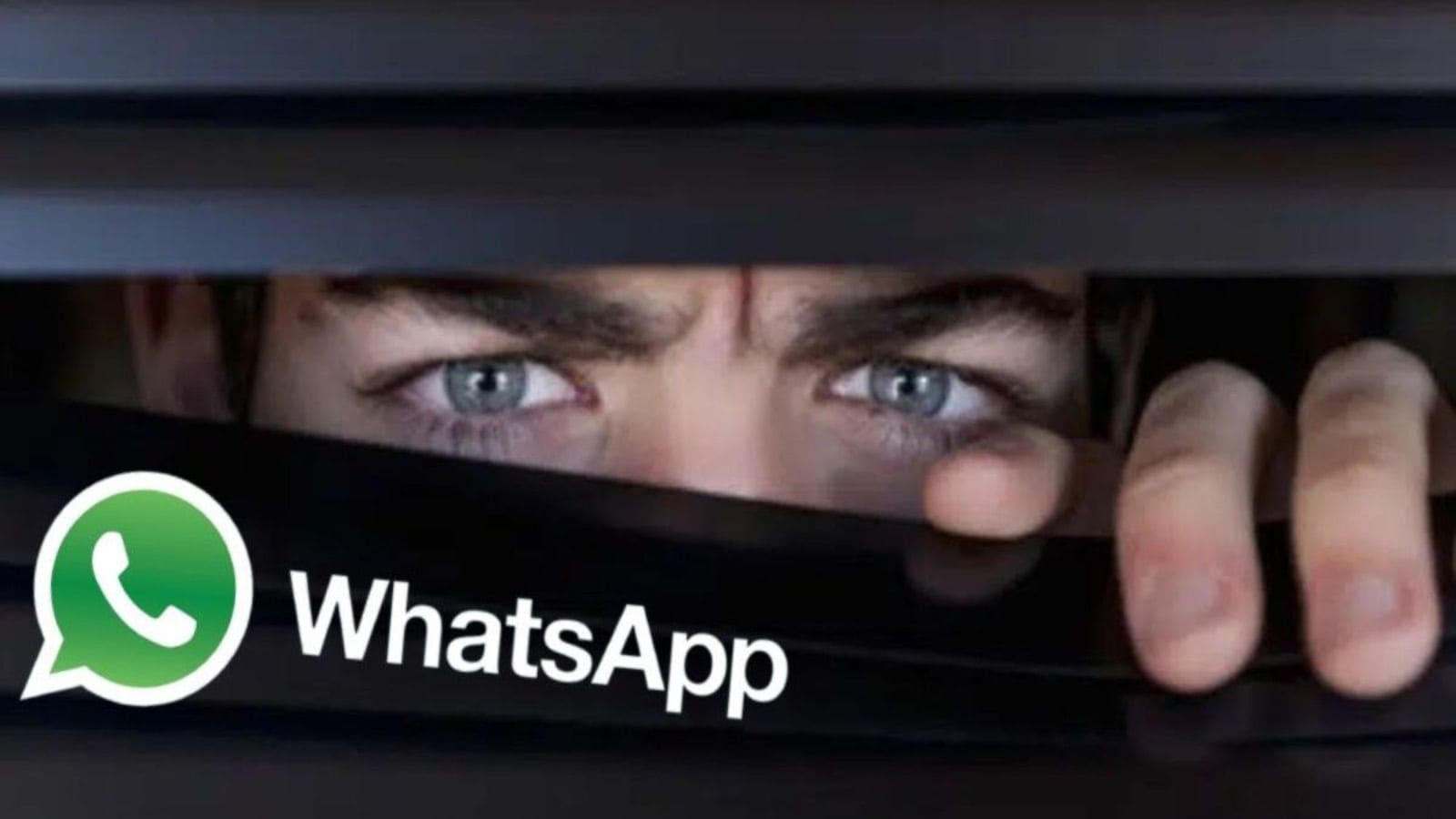 WhatsApp, come condividere lo SCHERMO in videochiamata