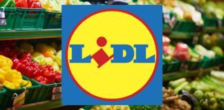 Lidl shock, la tecnologia è in REGALO quasi GRATIS solo OGGI