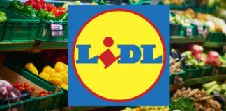 Lidl, tutto è quasi GRATIS con la tecnologia in REGALO