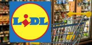 Lidl è PAZZA, oggi è GRATIS la tecnologia con un grande regalo