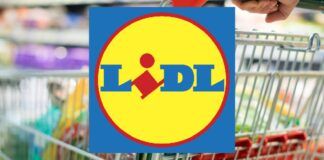 Lidl in esclusiva la TECNOLOGIA è GRATIS solo oggi, ecco l'elenco