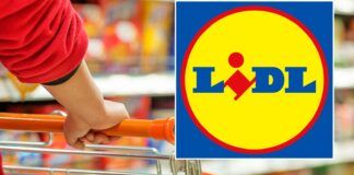 Lidl è PAZZA, oggi REGALA la tecnologia con prezzi gratis