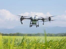 DJI Agriculture, il report sull'utilizzo dei droni nell'agricoltura