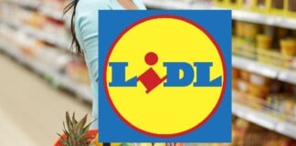 Lidl regala TUTTO, tecnologia GRATIS solo oggi